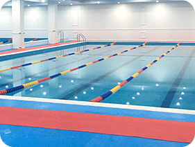 防止游泳池水藻類形成的水處理產(chǎn)品有幾種?